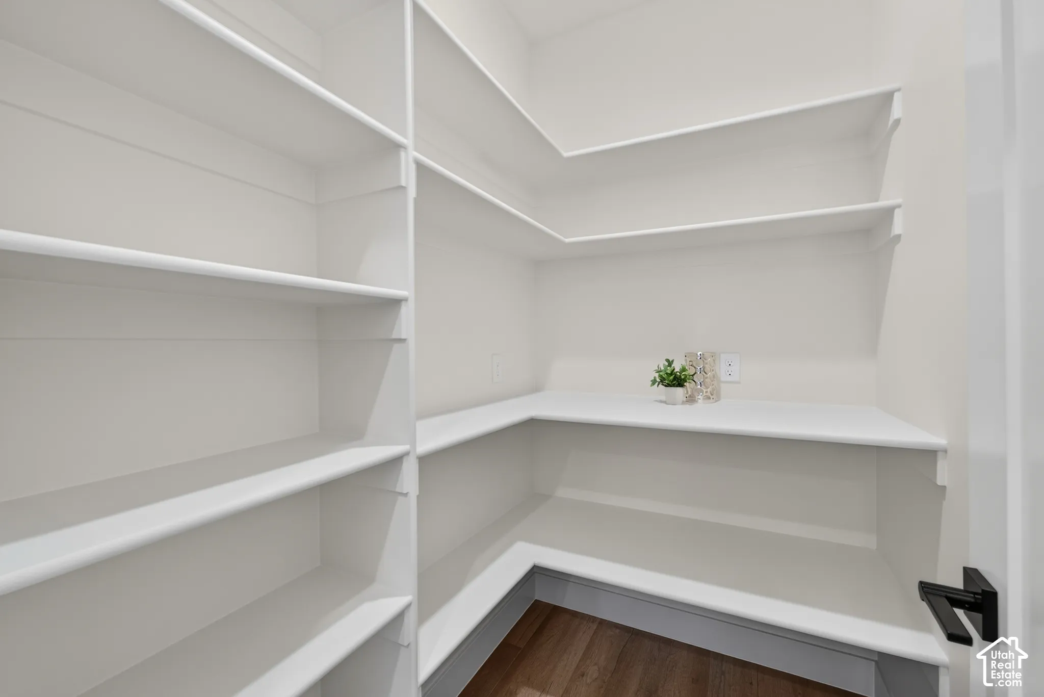 Expansive pantry featuring wrap-around shelving, built-in lower shelves, and wood-finish flooring