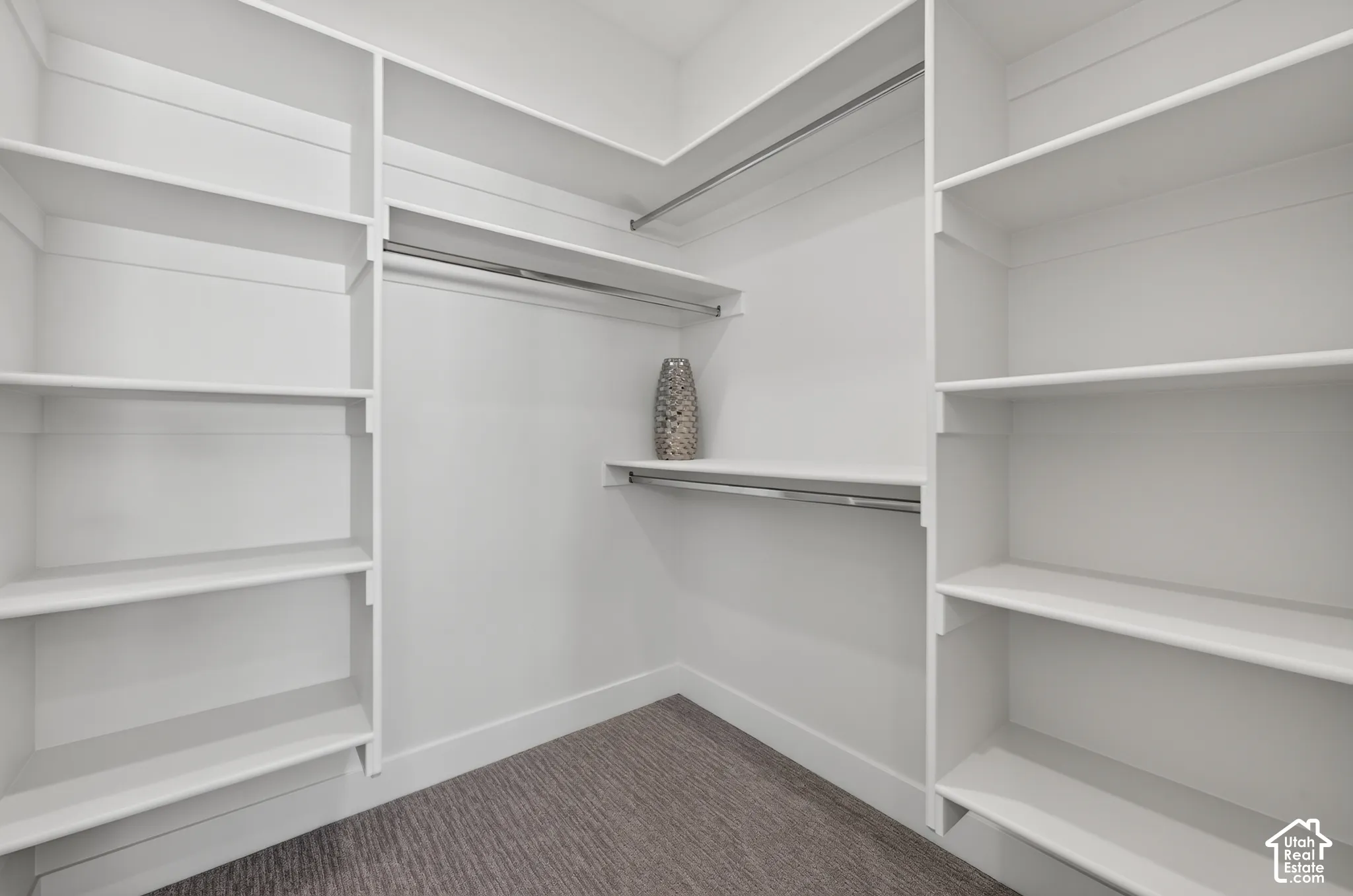 Built-in shelving, chrome hanging rods, and textured carpeting
