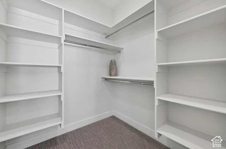 Built-in shelving, chrome hanging rods, and textured carpeting