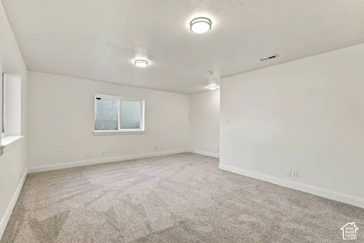 Expansive room featuring light-toned carpeting, multiple flush-mount ceiling lights, and two windows
