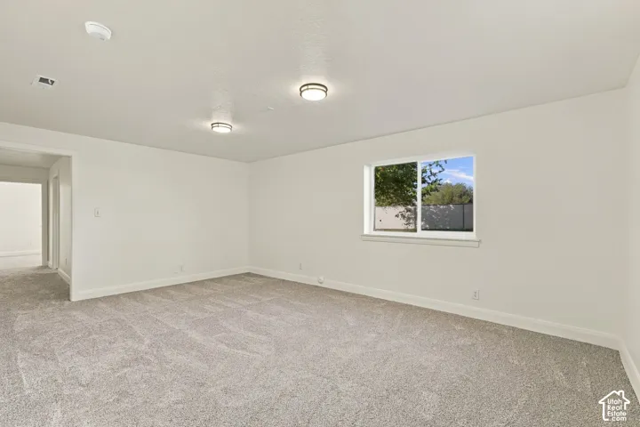 Light gray carpet flooring, white walls, and a window with white trim