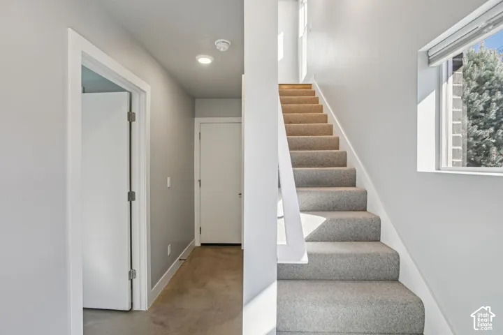 Carpeted staircase with wood treads, a window with roller shade, and light gray walls