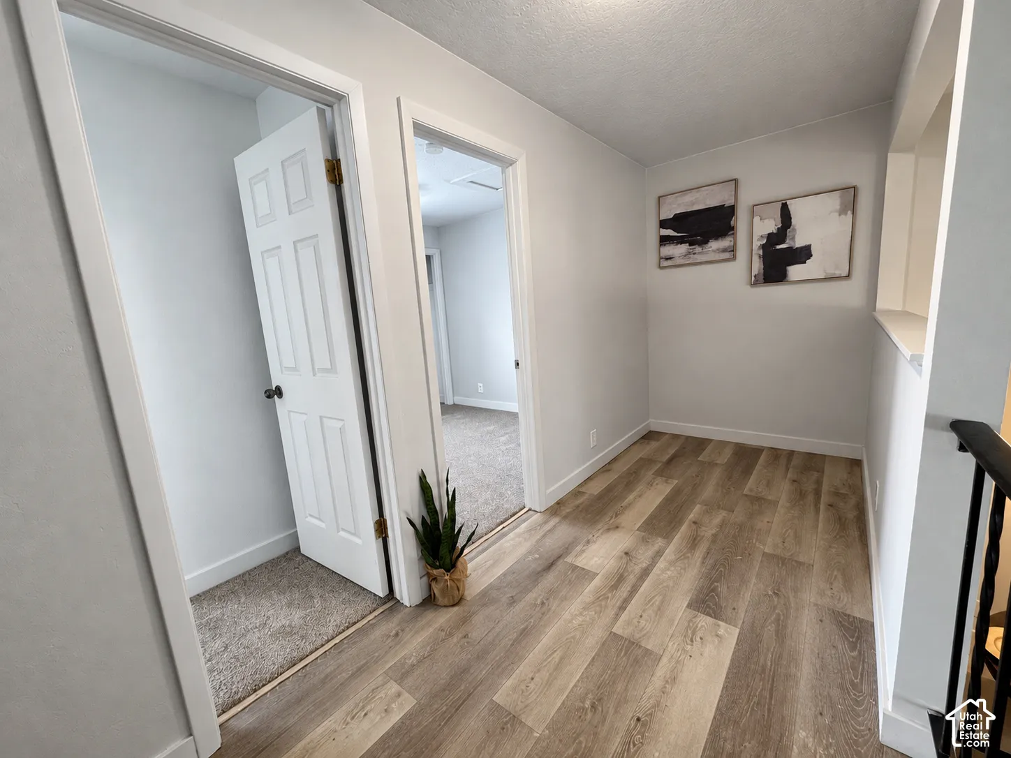 Wood-finish flooring, white trim, and light gray walls