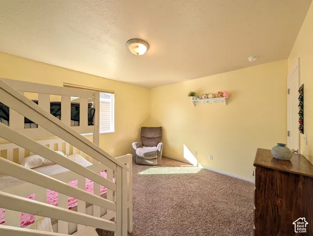 Carpeted flooring, a window with a blind, a ceiling-mounted light fixture, a built-in wall shelf, and a white door