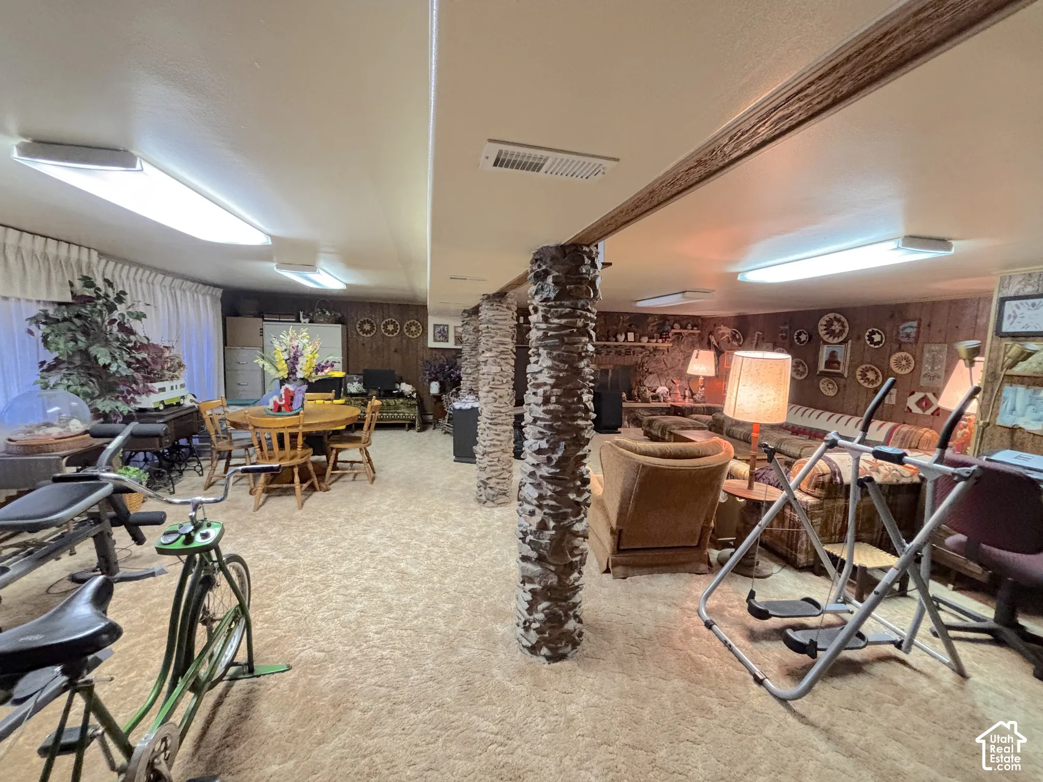Lower level family room