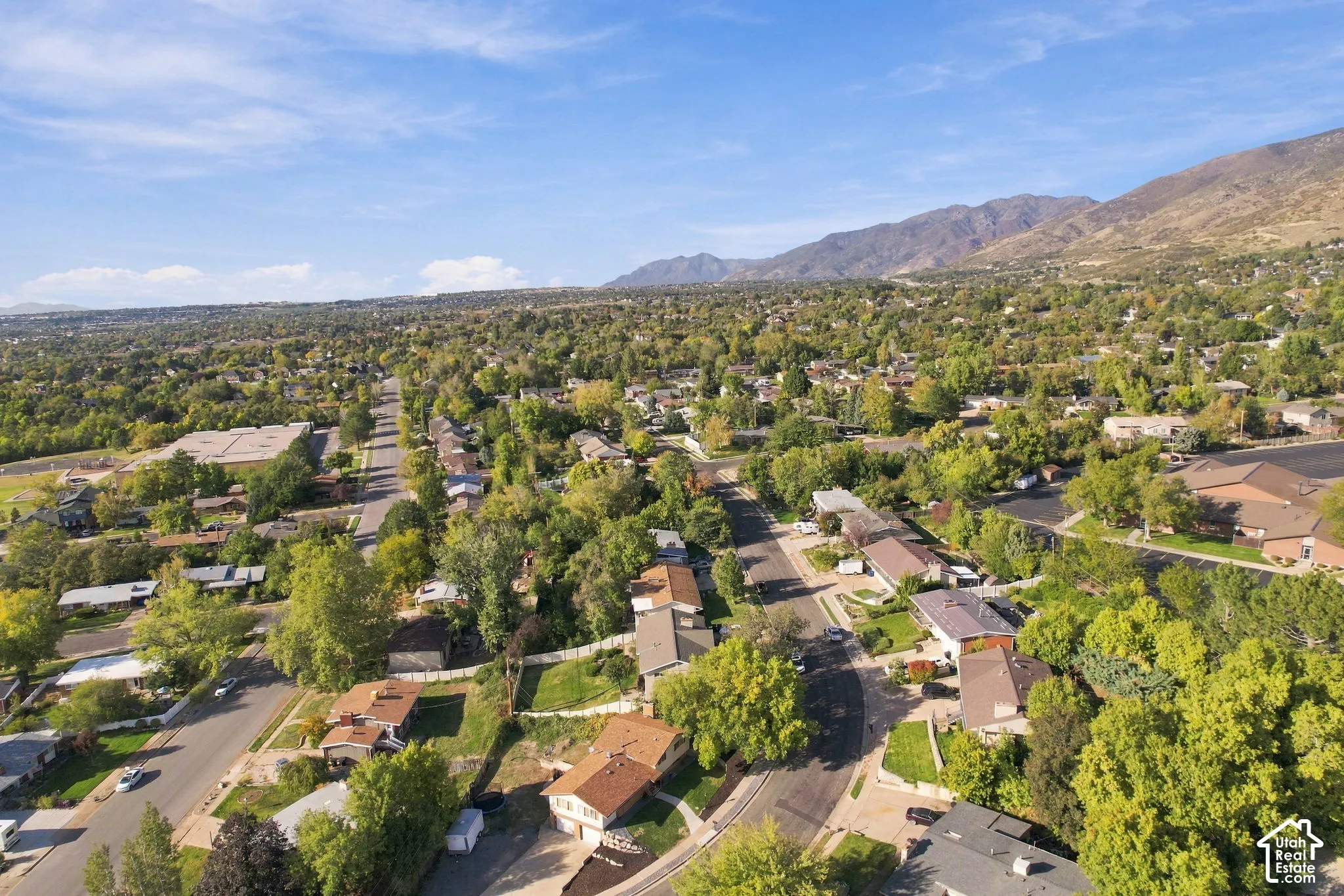 Expansive residential area with abundant mature trees and mountainous terrain