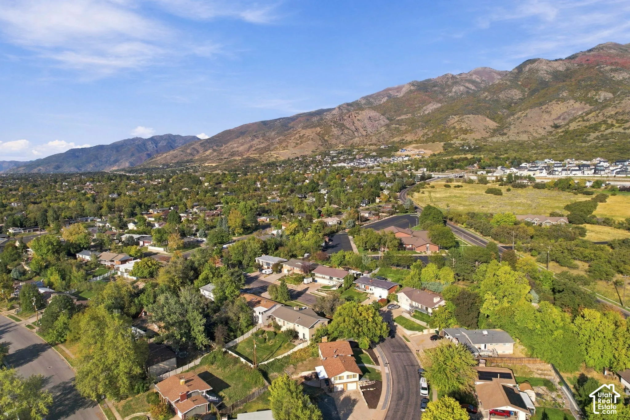 Mountainous backdrop with a residential area featuring numerous homes and extensive tree coverage