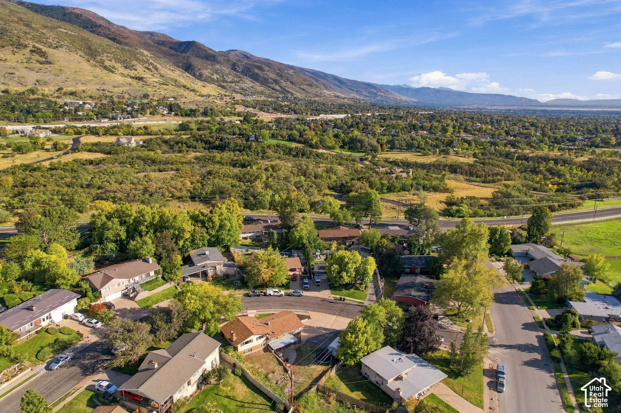 Residential area with mature trees and mountain backdrop