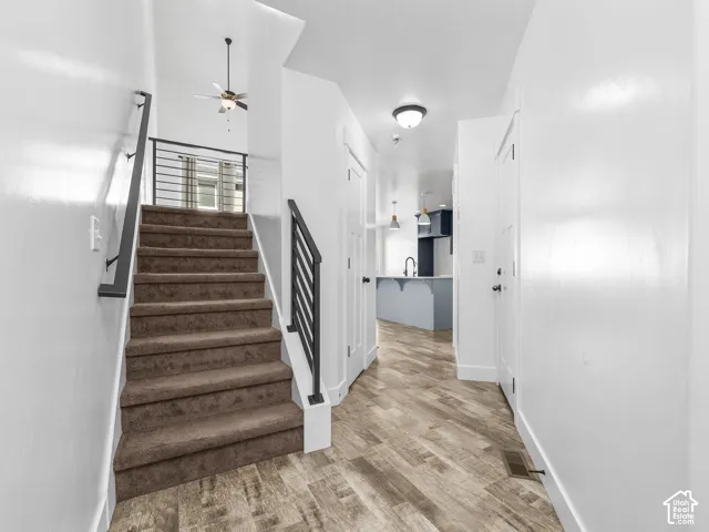 Carpeted staircase with black metal railing, wood-finish flooring, and white walls