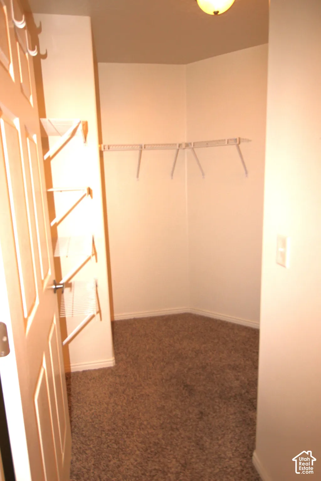 Walk-in closet featuring wall-to-wall carpeting, white wire shelving, and a ceiling-mounted light fixture