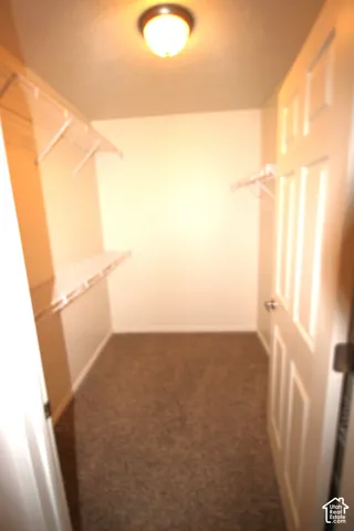 Walk-in closet featuring wall-to-wall Master Closet with carpeting, white wire shelving, and a dome-style ceiling light fixture