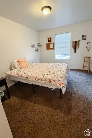 Textured brown carpeting, a ceiling-mounted light fixture, and a window with blinds