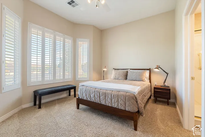 Vaulted ceiling and light-colored walls