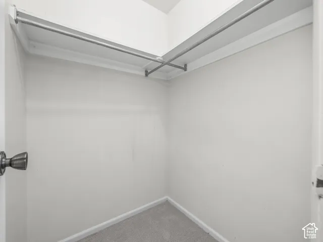 Carpeted closet with built-in shelving and clothes rods