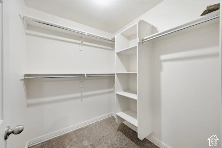 Walk-in closets in basement bedrooms