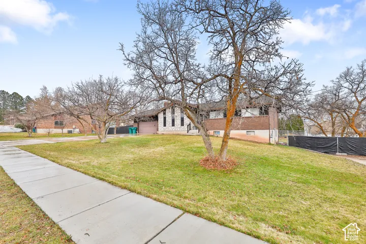 Expansive front lawn with mature trees and a concrete sidewalk