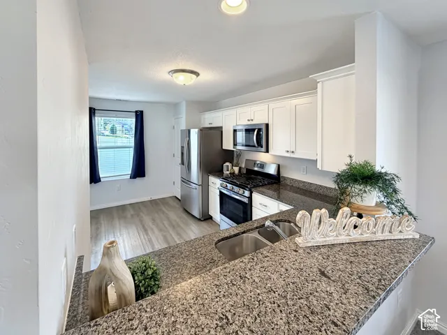 Kitchen featuring stainless steel appliances, white cabinetry, a double basin sink, and wood-finish flooring