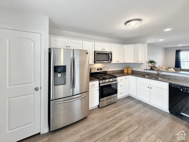 Kitchen featuring white cabinetry, wood-finish flooring, stainless steel appliances, dark stone countertops, and a double basin sink