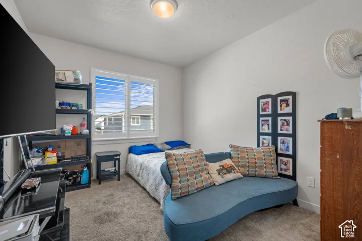 Carpeted flooring, white walls, double window with white plantation shutters, built-in ceiling light fixture