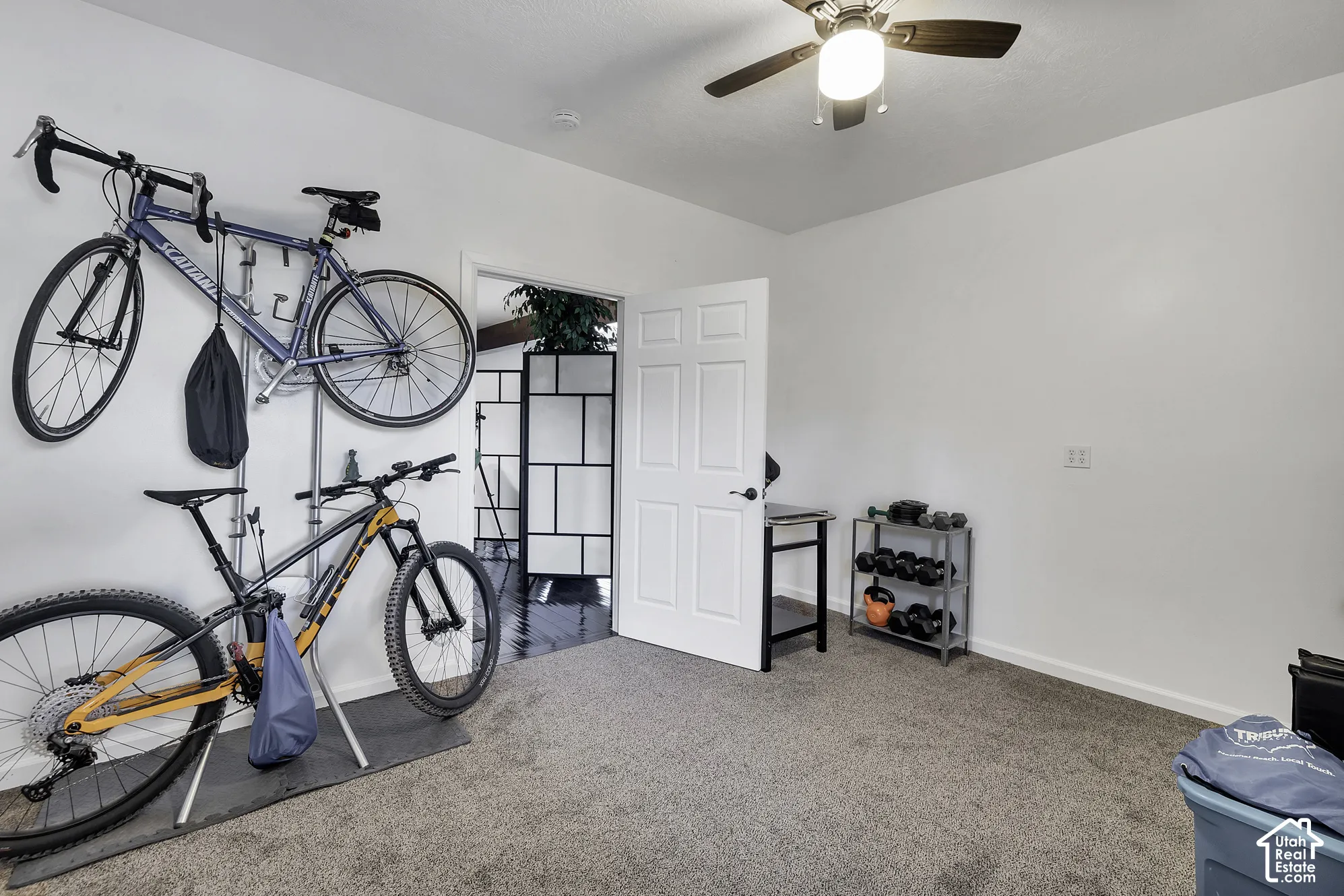 Recessed lighting, ceiling fan with light fixture, paneled interior door, and carpeted flooring