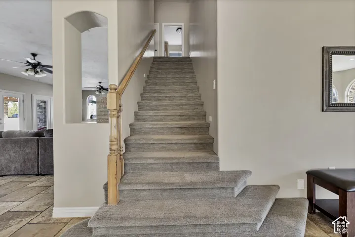 Carpeted staircase featuring a natural wood handrail and banister