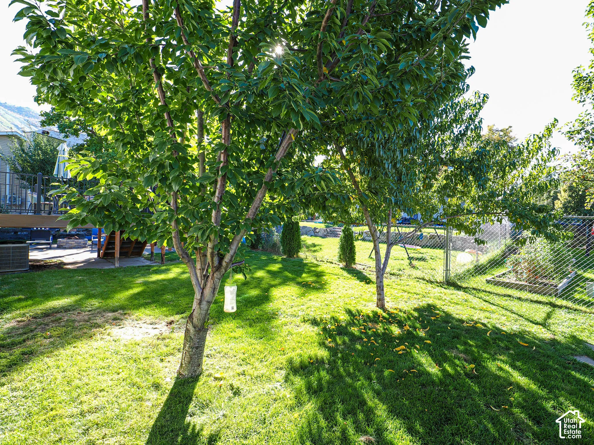 Expansive backyard featuring a manicured lawn, established trees, chain-link fencing, and a multi-level wooden deck