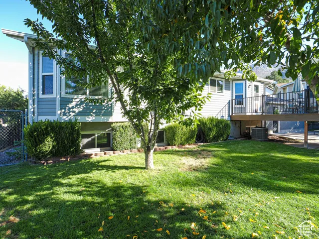 Expansive green lawn, mature tree providing shade, established hedges, lower-level windows, and an upper-level deck with black railings