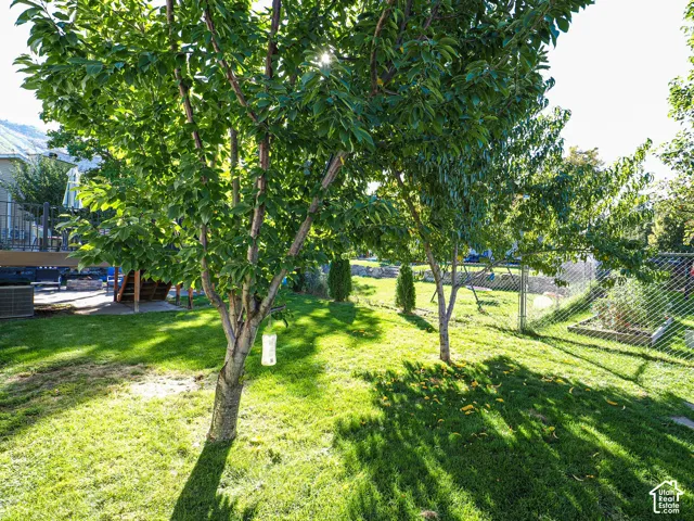Expansive backyard featuring a manicured lawn, established trees, chain-link fencing, and a multi-level wooden deck