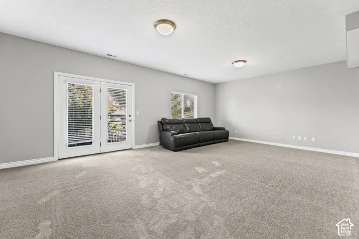Spacious room with light gray walls, plush carpeting, and two flush-mount ceiling lights