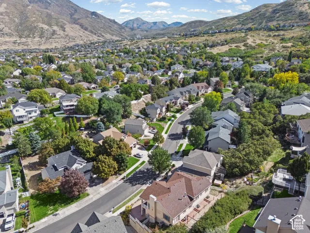 Established residential neighborhood featuring mature trees and a curvilinear street layout