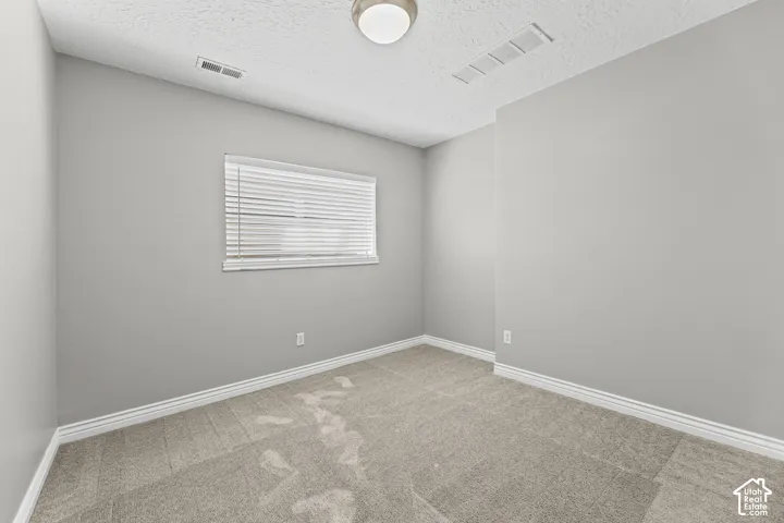 Neutral wall tones with carpet flooring