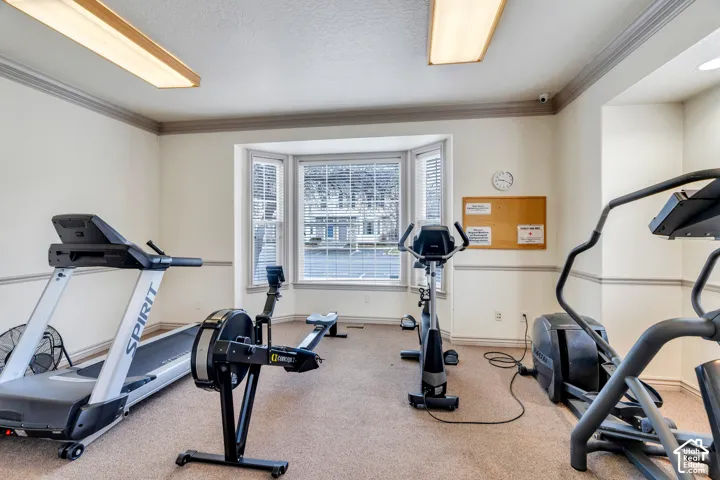 986 N Independence Ave, Provo, Utah 84604