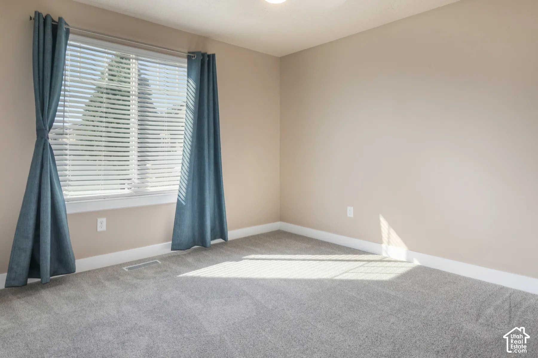 Neutral wall paint, plush carpet flooring, large window, window blinds