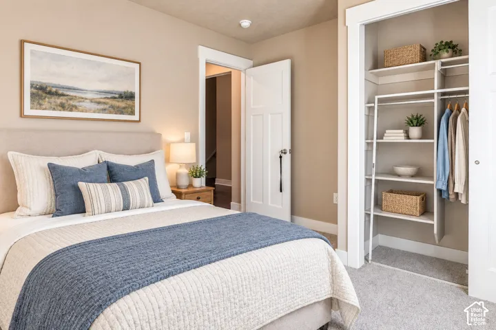 Soft carpet flooring, built-in closet shelving, and a paneled interior door