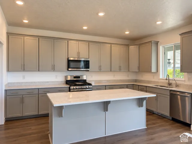 Spacious kitchen featuring an island, light-toned cabinetry, stainless steel appliances, wood-finish flooring, and recessed lighting
