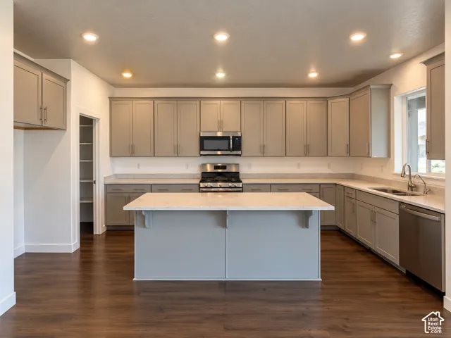 Kitchen featuring an expansive island, light-toned cabinetry, stainless steel appliances, recessed lighting, and wood-finish flooring