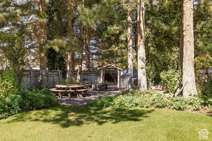 Expansive outdoor patio area featuring a built-in gazebo, wood picnic tables, and mature trees