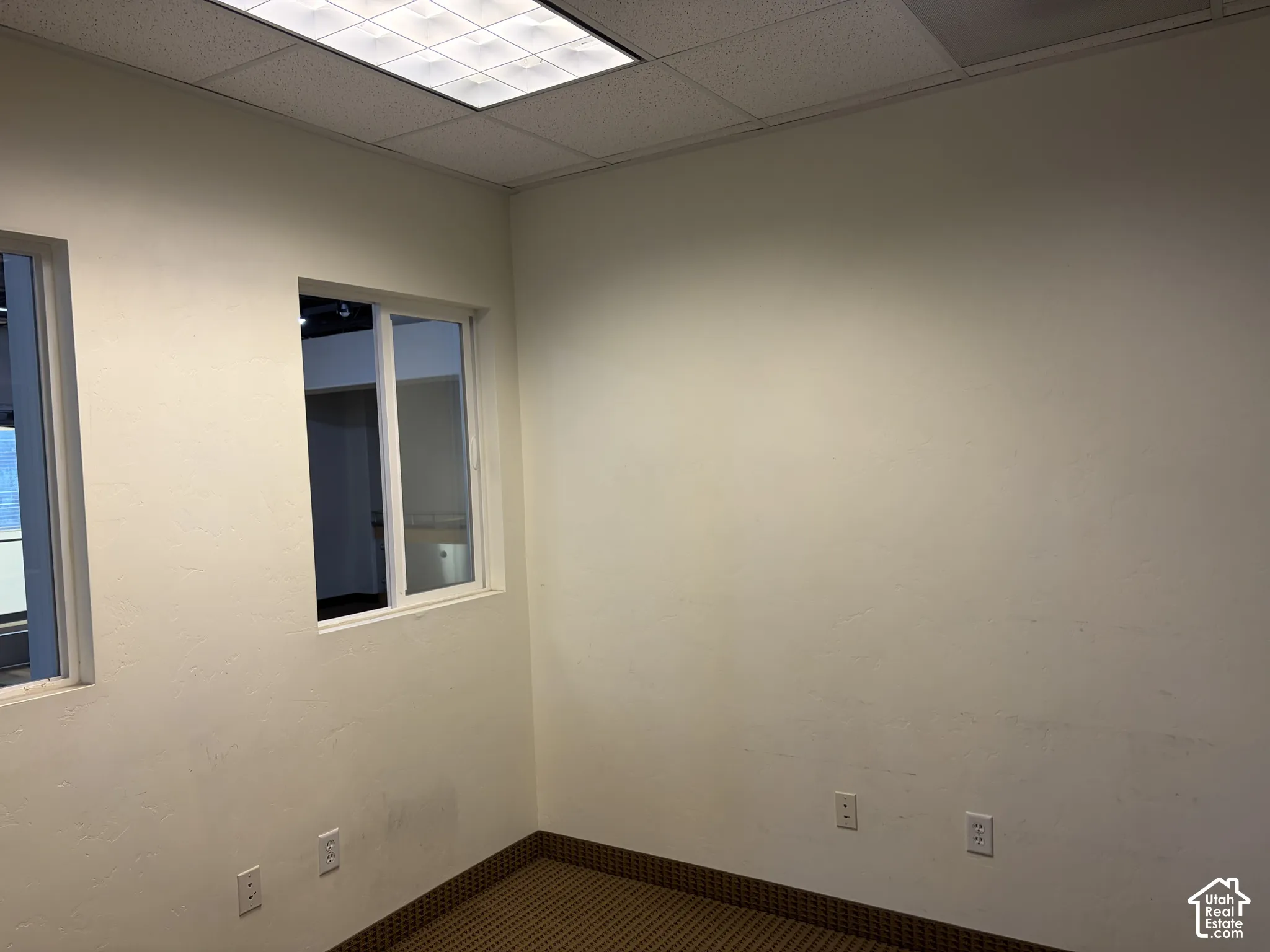 Recessed lighting, drop ceiling, two interior windows with white frames, wall-to-wall carpeting