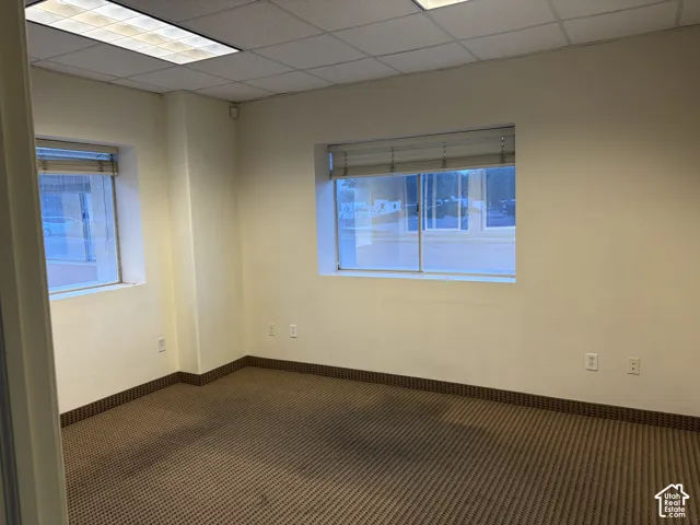 Recessed lighting with grid ceiling, two windows with blinds, and patterned carpeting