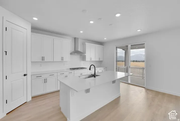 Kitchen featuring white cabinetry, a large center island with an undermount sink, stainless steel appliances, and wood-finish flooring