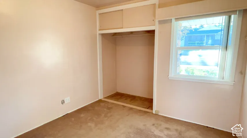 Recessed closet with upper storage, single window, and neutral carpeting