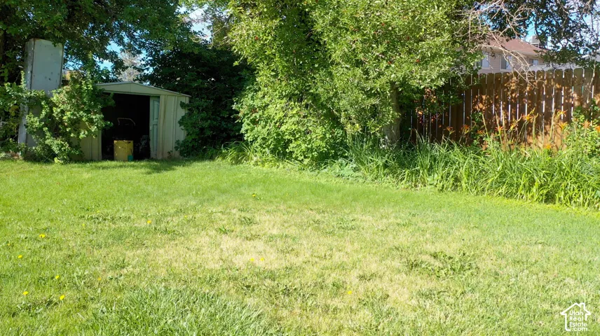 Expansive grassy yard area with mature trees and established landscaping
