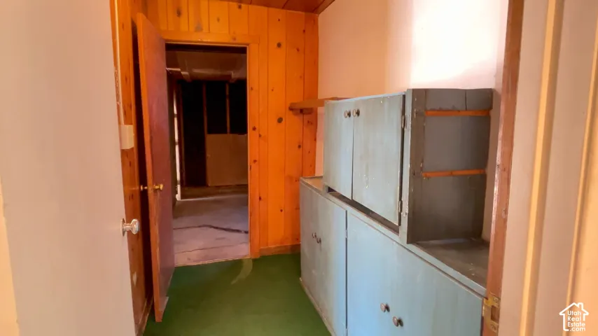 Wood-paneled wall, built-in cabinetry, and a green floor covering