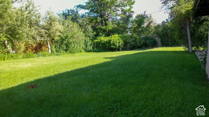 Expansive lawn area with mature perimeter trees and fencing