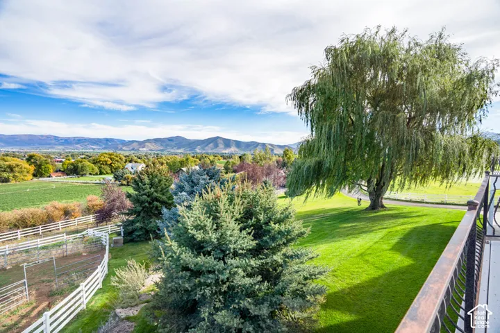 Expansive green lawn with a mature weeping willow tree, evergreen shrubs, and white fencing