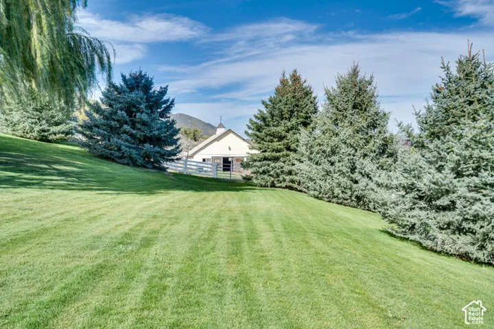 Expansive green lawn with mature evergreen trees and a weeping willow