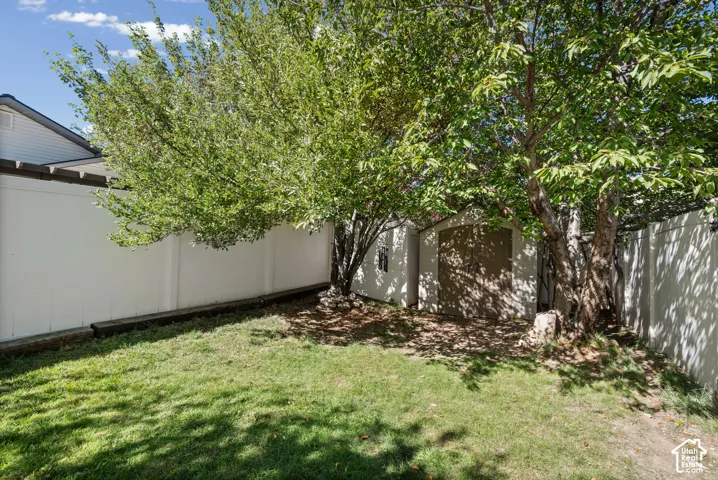 Expansive grassy area featuring mature trees, a privacy fence, and a storage shed