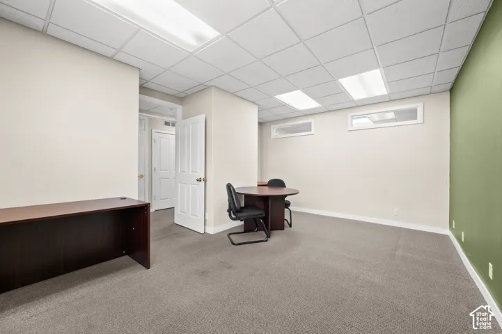 Drop ceiling with integrated fluorescent lighting, neutral wall finishes, carpeted flooring, and white trim