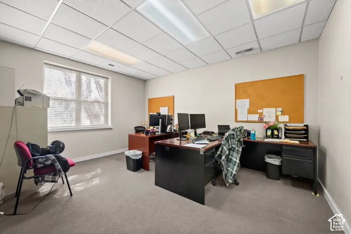 Neutral wall color, carpeted flooring, large window with blinds, suspended ceiling, and built-in office desks