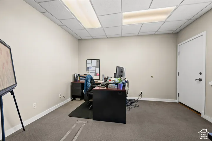 Carpeted flooring, neutral wall tones, white trim, and a white door with dark hardware